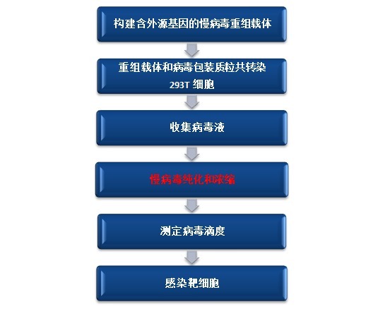 B1435128259png_small.jpg
