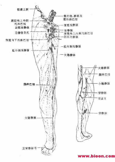 A1378365306.jpg