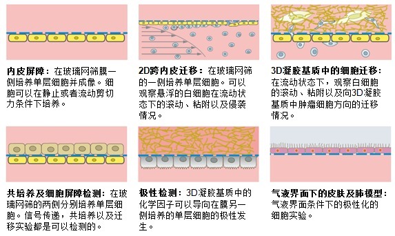 A1441613251png_small.jpg