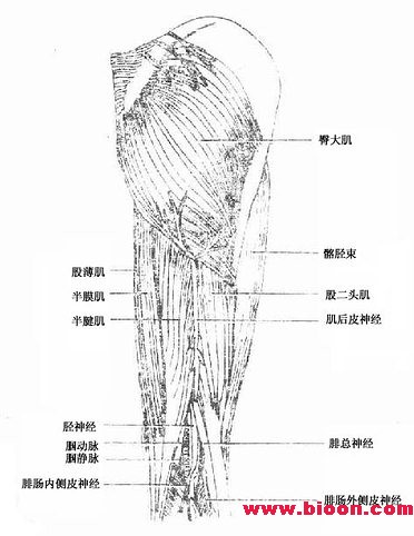 A1378365320.jpg