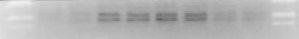 B1439449921_small.jpg