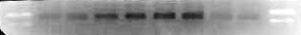 B1439449922_small.jpg