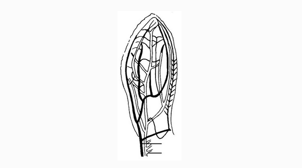 ?.png